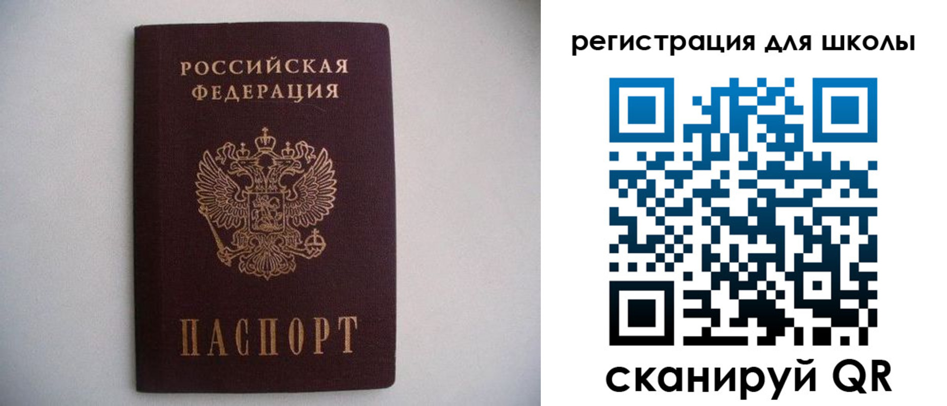 прописка поиск в Кингисеппе
